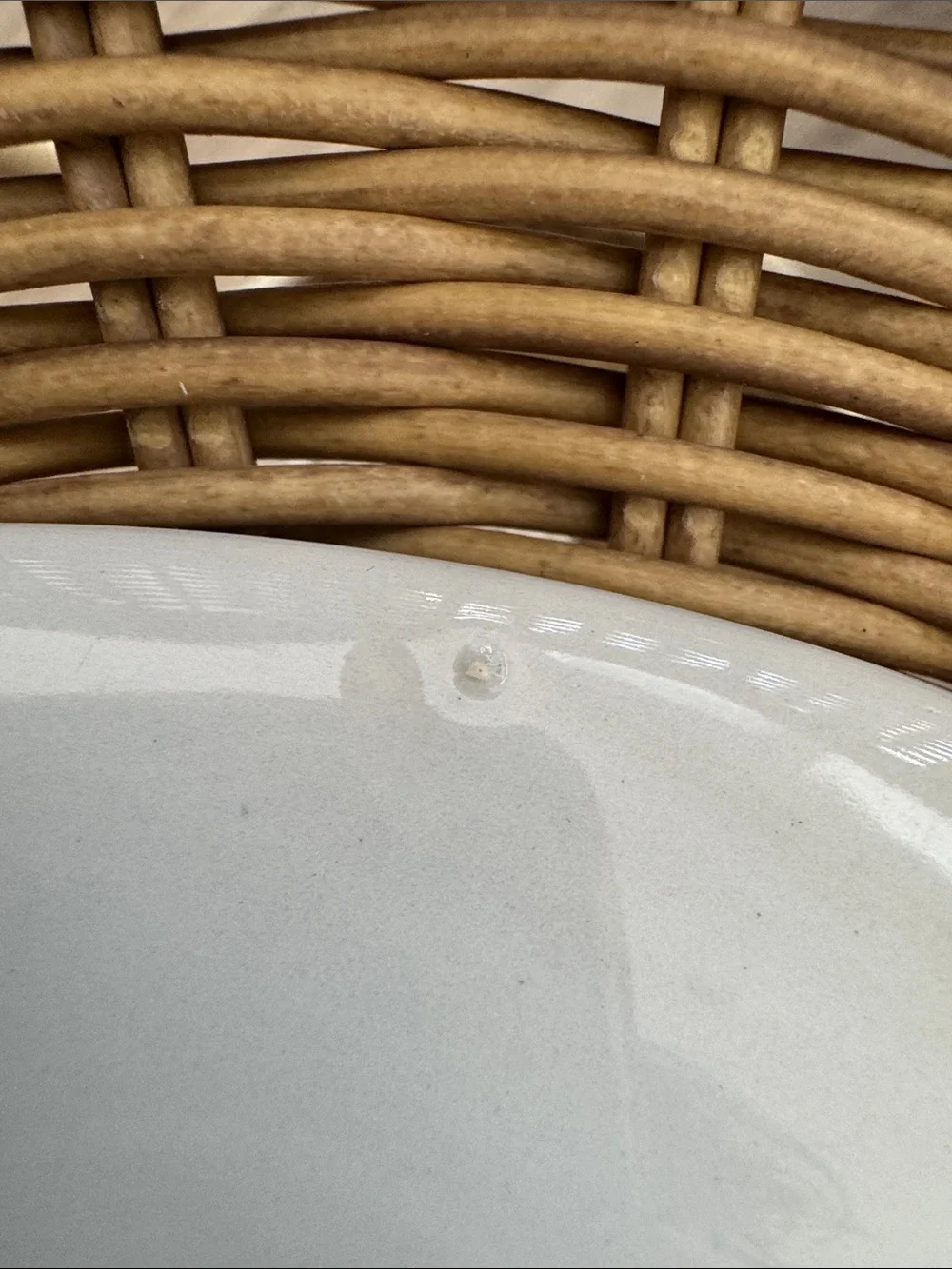 Spode Portland Vase Plate